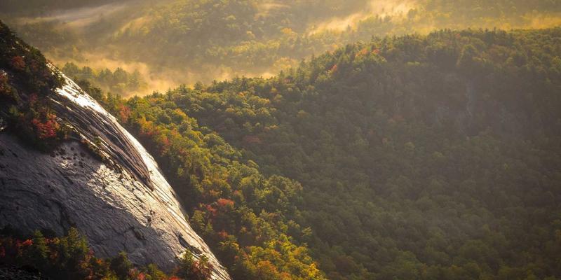 从《周易》同人卦看现代团队协作：传统文化智慧如何破解人际难题