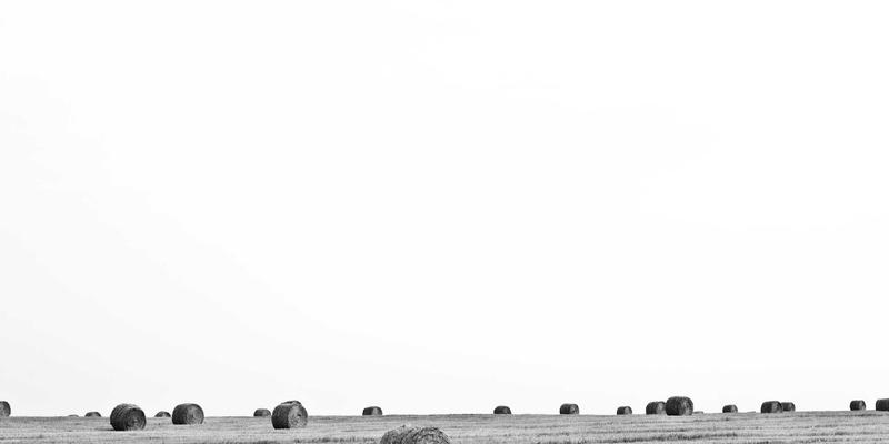 从命理咨询到全球对话：周易卦爻符号的现代诠释与八字智慧