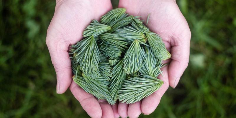 周易21卦解读：从火雷噬嗑看八字占卜中的冲突与化解之道