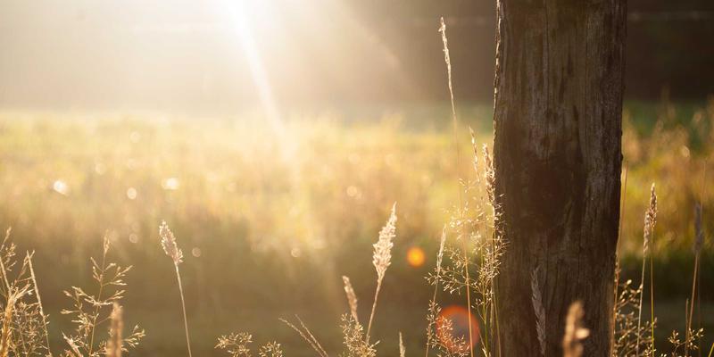 周易40卦：从八字命理看传统文化中的占卜智慧