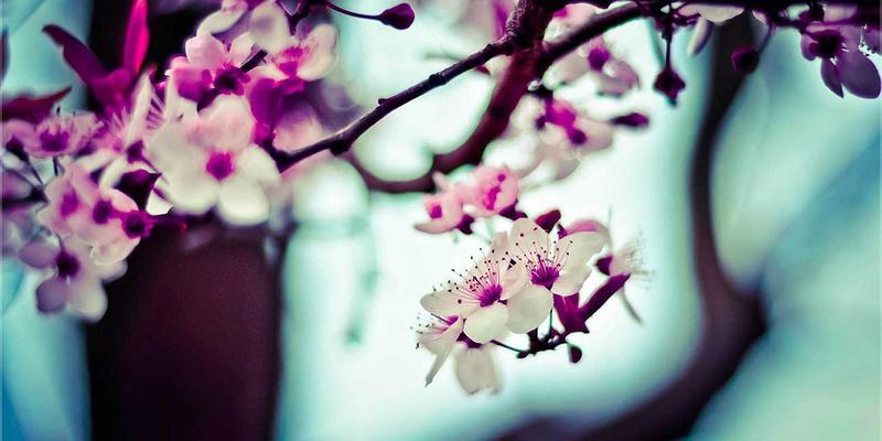 周易61卦详解：从易经智慧看八字命理的深层联结