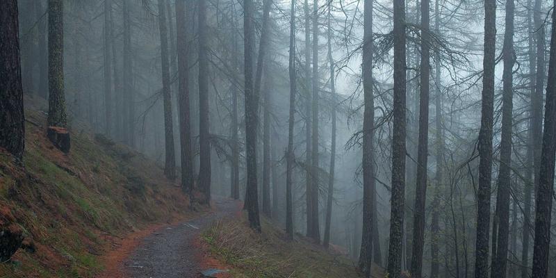 周易73：从易经卦象到风水命理的深层智慧