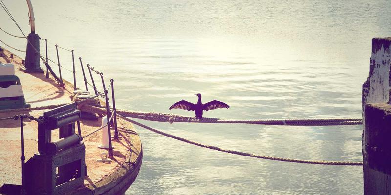 周易94：占卜与命理咨询中的古老智慧与现代启示