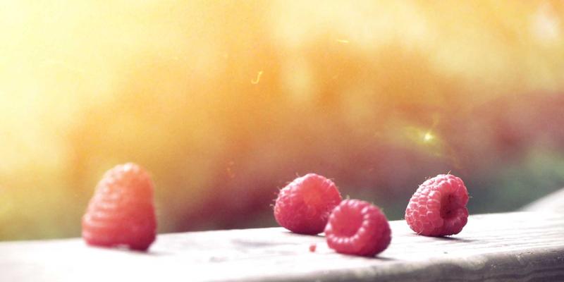 周易与生态智慧：古老易经中的自然观如何启迪当代环境保护