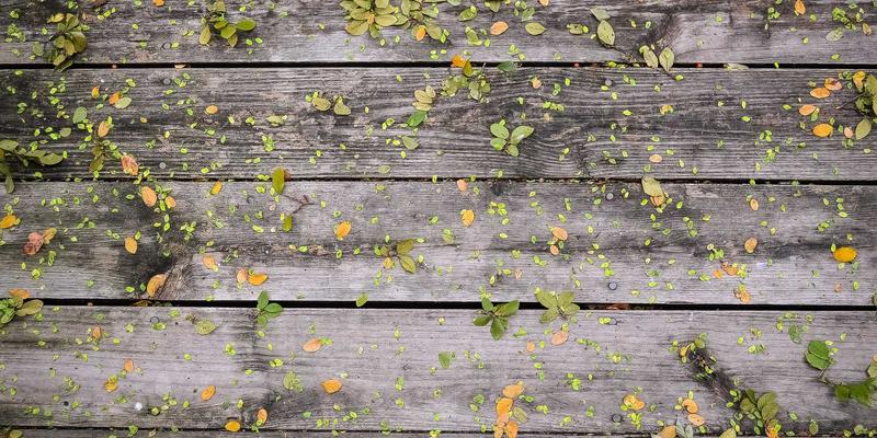 周易与风水、占卜：揭秘传统文化中的智慧体系与当代价值