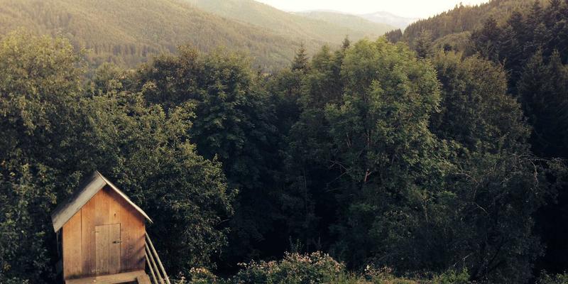 周易在现代社会的前景：从命理咨询到环境科学的智慧桥梁