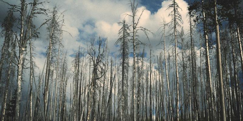 周易坤卦与大地哲学：从占卜智慧看包容、承载与可持续发展