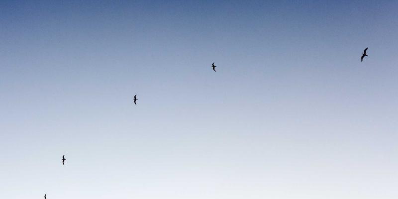 周易攻略：从风水布局到占卜智慧，解锁传统文化的实用密码