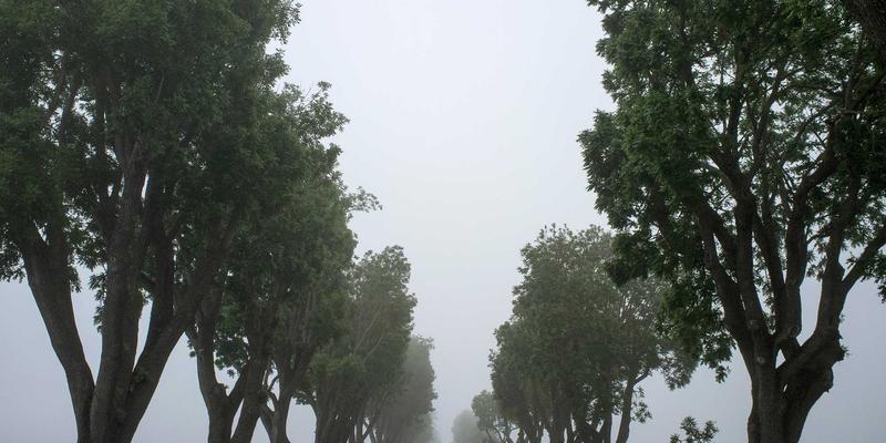 周易第十六卦：豫卦的古老智慧与现代启示