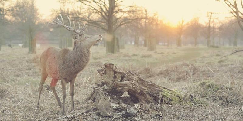 周易趋势：当古老智慧照进现代生活——易经与八字的当代启示