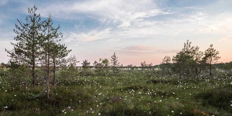 周易风水入门：家居布局的易经智慧，提升运势的实用指南