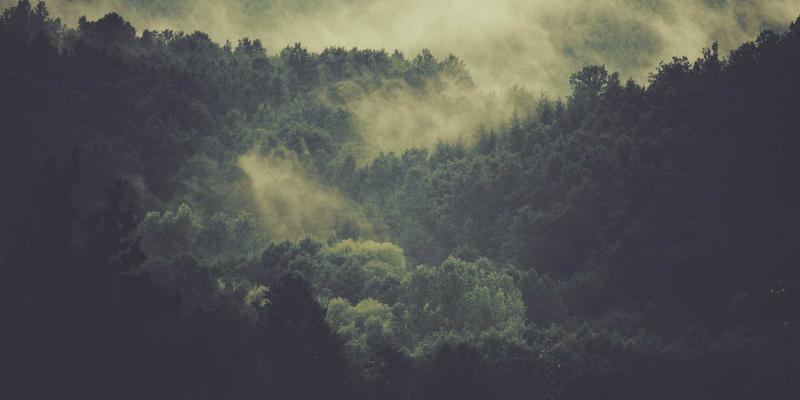 易经时间管理智慧：从周易十二消息卦参透自然节律与人生节奏