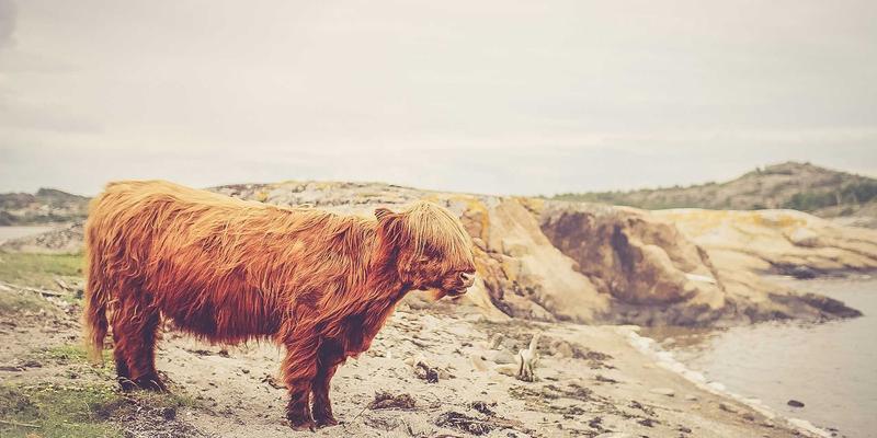 易经智慧解码婚姻：从咸卦与恒卦看古代择偶与家庭维系之道 | 命理咨询与八字启示
